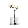 Michael Aram Butterfly Ginkgo Salt & Pepper Shaker