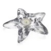 Simon Pearce Starfish Tealight In Gift Box -Home Furnishings Shop 8945 starfish tealight in gift box