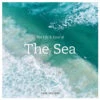 The Life & Love Of The Sea -Home Furnishings Shop 9781419718625
