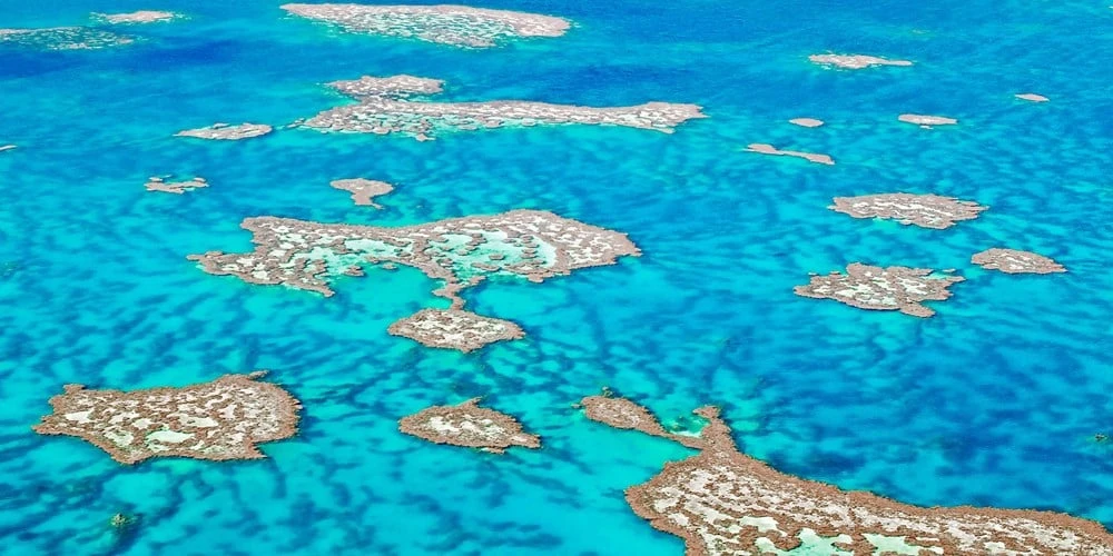 The Life & Love Of The Sea 10 The Life & Love Of The Sea - Image 8