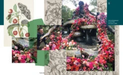 Flower Flash -Home Furnishings Shop 9781580935852 04