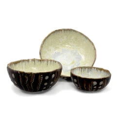 Ae Ceramics Sea Urchin Series Small Bowl In Abalone & Tortoise