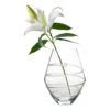 Juliska Amalia Clear Vase 11" -Home Furnishings Shop B452 Calt