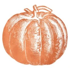 Pumpkin Paper Placemat Set/12