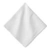 Juliska Berry Trim White Napkin 1 Juliska Berry Trim White Napkin -Home Furnishings Shop LB92 130