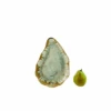 Ae Ceramics Oyster Series Medium Plate In Mint & Tortoise -Home Furnishings Shop MT.C 1 MediumPlate
