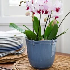 Juliska Berry & Thread Chambray Planter & Saucer 5.25" -Home Furnishings Shop b t chambray planter 56248d52 7b4d 4412 ad39 213bafd271d6