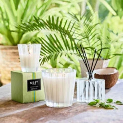 Nest Coconut & Palm 3-Wick Candle 7 Nest Coconut & Palm 3-Wick Candle -Home Furnishings Shop nestnewyork coconutpalm 1 9c693b7b afd8 41c8 af00 4f980d1f8719